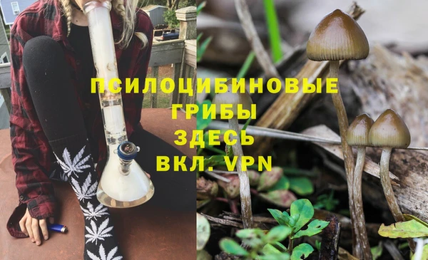 меф Алзамай